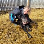 Data Genie offers genomic insights to cattle producers