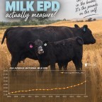 What does the MILK EPD actually measure?